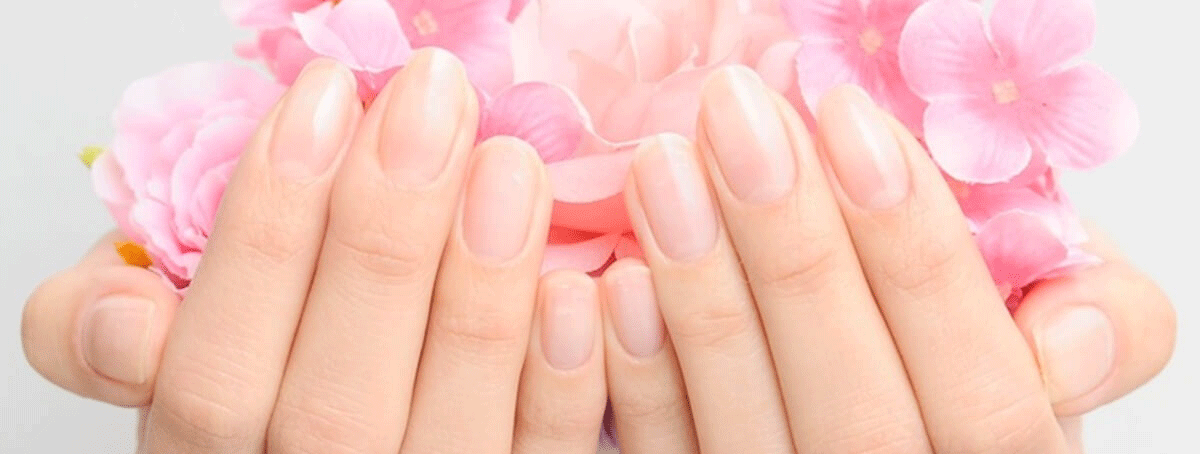東京新宿のネイルスクール「シンシアネイルアカデミー」NA/JNEC検定対策コースのイメージ
